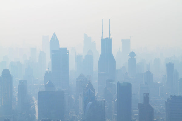 Pollution, city living, and mindful consumer choices | Almeda Labs