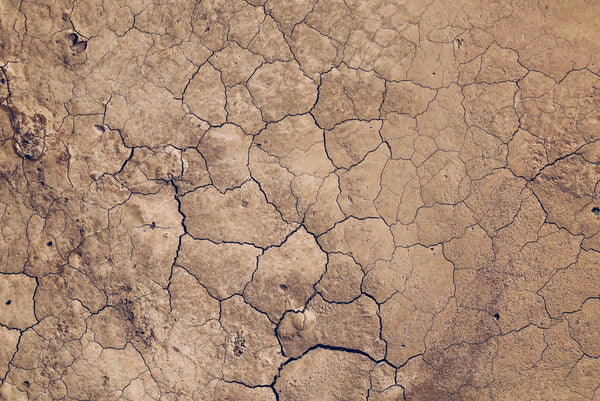 When Soil is Left High and Dry, So Are We | Almeda Labs
